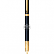 But Waterman Perspective Black GT RB