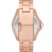 Fossil AM4549_1